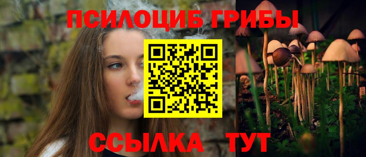 Галлюциногенные грибы Psilocybe  Вход с VPN  Егорьевск 